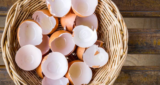 Ne jetez plus jamais les coquilles d’œuf !