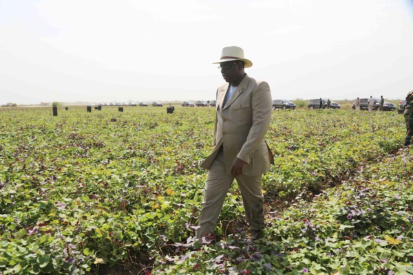 Sénégal : Légère baisse des importations au mois d`Avril