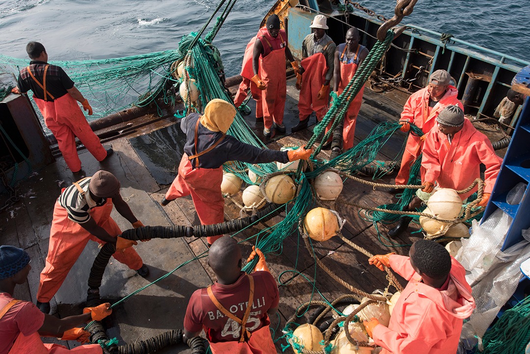 Gestion des licences de pêche : le nouveau régime sonne la fin de la pagaille