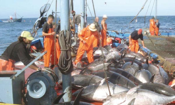 Accord de pêche : la redevance annuelle versée par l'Union européenne connue