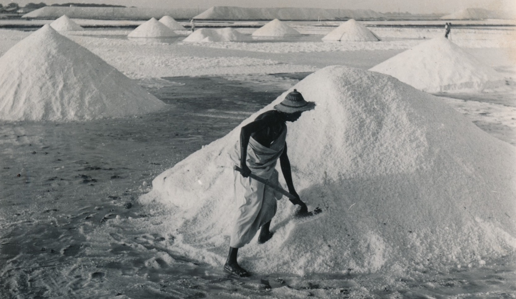 Les origines de GANDIOL