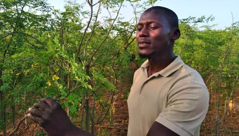 Fondateur de la start-up "Tamba labs": le pharmacien Doudou Tamba inventeur d’un biocide anti-moustique