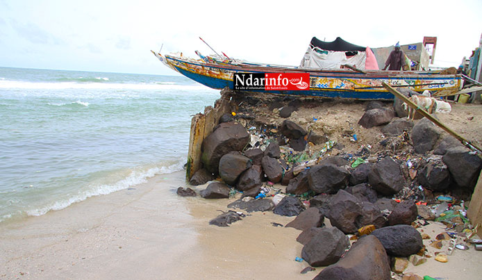 (ALERTE) La Mer charge Guet-Ndar. Plusieurs maisons détruites. Des vies en danger. Regardez !
