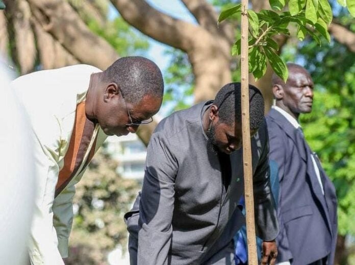 Journée Nationale de l’Arbre: le Président Diomaye à Touba dimanche