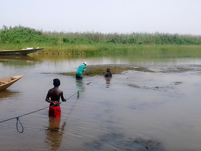 Débordement du fleuve Sénégal : à Bango, des périmètres maraichers inondés Débordement du fleuve Sénégal : à Bango, des périmètres maraichers inondés
