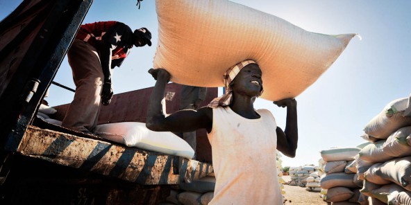  Au Sénégal, la croissance est dans les champs 