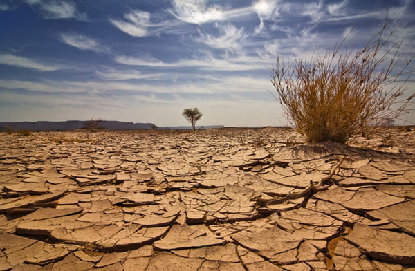 Changement climatique : La 8ème édition du Forum PRCM est lancée à Praia !