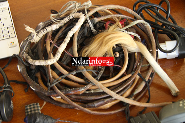 Saint-Louis : quand les « ndomba » trahissent leurs abonnés. Saint-Louis : quand les « ndomba » trahissent leurs abonnés.