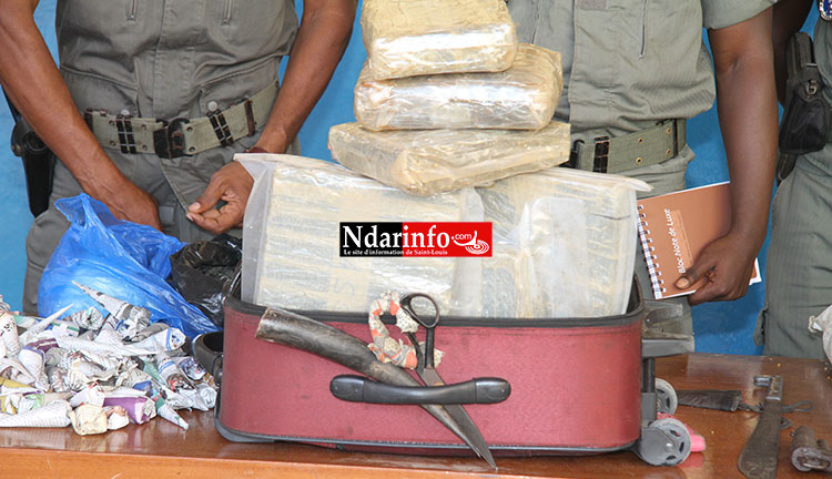 VIDÉO EXCLUSIVE – Ce que les gendarmes ont découvert dans le coffre de ce véhicule à Saint-Louis. VIDÉO EXCLUSIVE – Ce que les gendarmes ont découvert dans le coffre de ce véhicule à Saint-Louis.