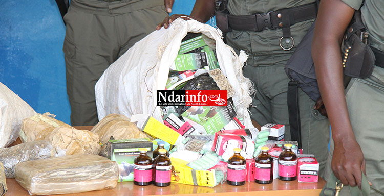 VIDÉO EXCLUSIVE – Ce que les gendarmes ont découvert dans le coffre de ce véhicule à Saint-Louis. VIDÉO EXCLUSIVE – Ce que les gendarmes ont découvert dans le coffre de ce véhicule à Saint-Louis.