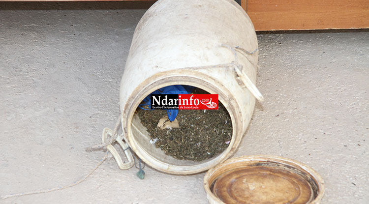 VIDÉO EXCLUSIVE – Ce que les gendarmes ont découvert dans le coffre de ce véhicule à Saint-Louis. VIDÉO EXCLUSIVE – Ce que les gendarmes ont découvert dans le coffre de ce véhicule à Saint-Louis.