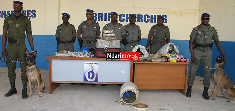 VIDÉO EXCLUSIVE – Ce que les gendarmes ont découvert dans le coffre de ce véhicule à Saint-Louis. VIDÉO EXCLUSIVE – Ce que les gendarmes ont découvert dans le coffre de ce véhicule à Saint-Louis.