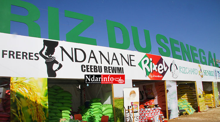 Le stand "Riz du Sénégal", au coeur du Cices: Crédit Photo: Ndarinfo.com