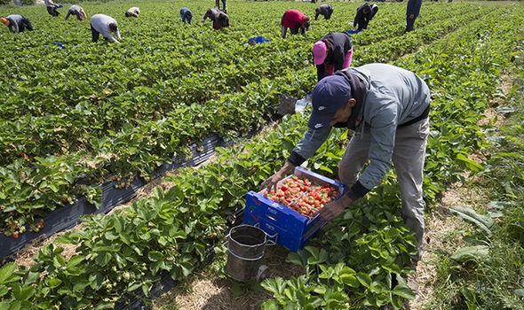 Sélection des ouvriers agricoles en Espagne | Les entretiens bouclés hier