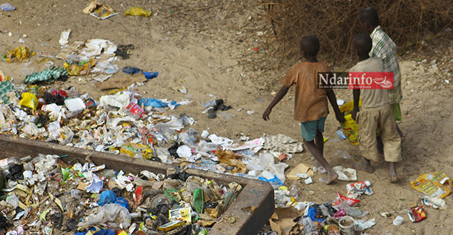 Des talibés transportent de l'eau usée vers le petit bras du fleuve, sur l'ile nord de Saint-Louis. Crédit photo: Ndarinfo.com Des talibés transportent de l'eau usée vers le petit bras du fleuve, sur l'ile nord de Saint-Louis. Crédit photo: Ndarinfo.com