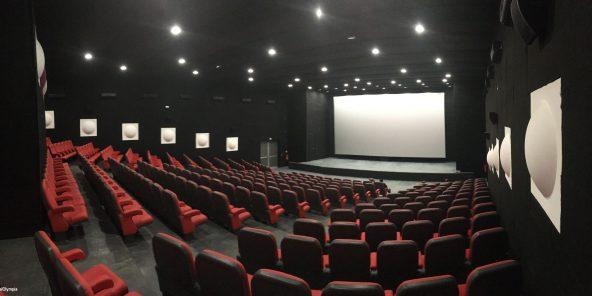 ”L’industrie du théâtre n’est pas très développée à Saint-Louis” (Directrice)