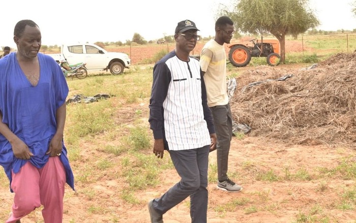 Suivi des cultures et souveraineté alimentaire : Le DG de la SAED en tournée dans la vallée du fleuve Sénégal