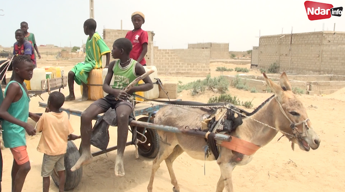 Pénurie d’eau à Khar Yalla : les enfants remplacent l’école par la quête du précieux liquide