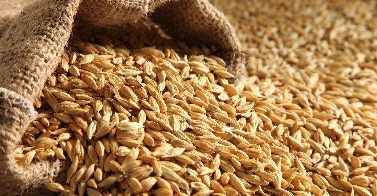 Blé américain : un navire accoste à Dakar avec 10 000 tonnes