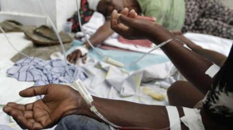 Sénégal : régression de la vitesse de propagation de la fièvre de la vallée du Rift