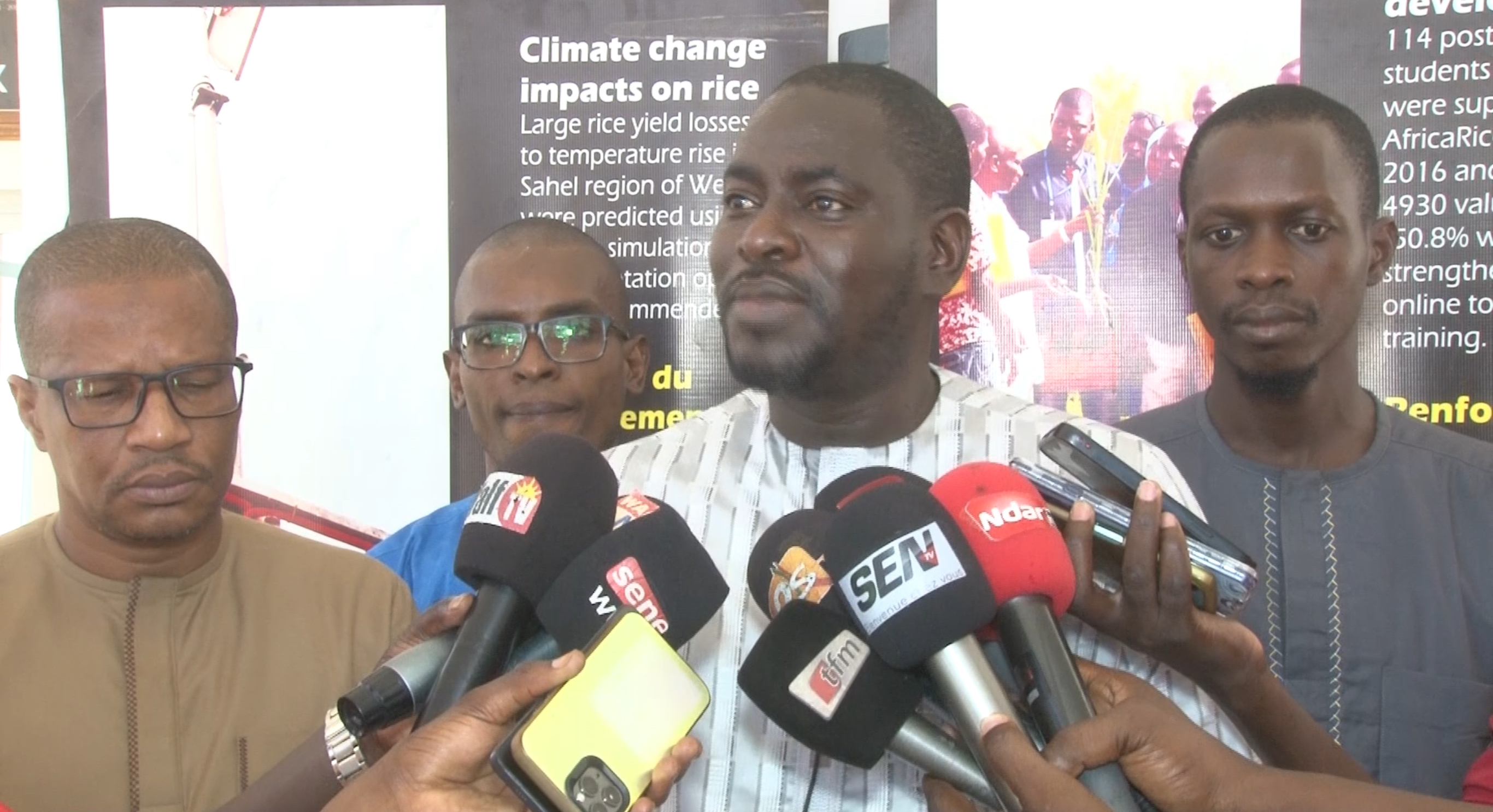 Stratégie rizicole : vers une mécanisation concertée dans la vallée du fleuve Sénégal