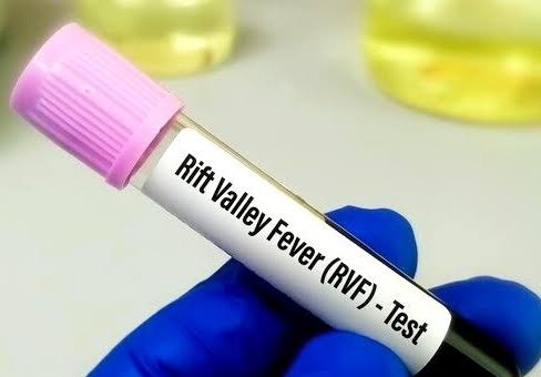 Fièvre de la vallée du Rift : 18 décès enregistrés à Saint-Louis depuis le 21 septembre Fièvre de la vallée du Rift : 18 décès enregistrés à Saint-Louis depuis le 21 septembre