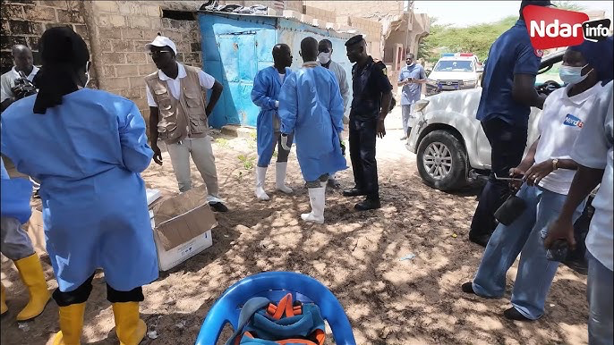 Épidémie de FVR : La région de Saint-Louis reste l’épicentre avec plus de 300 cas confirmés