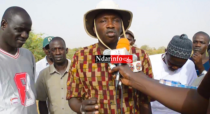 Amadou DIOP, SG de la Grande Digue Téléle