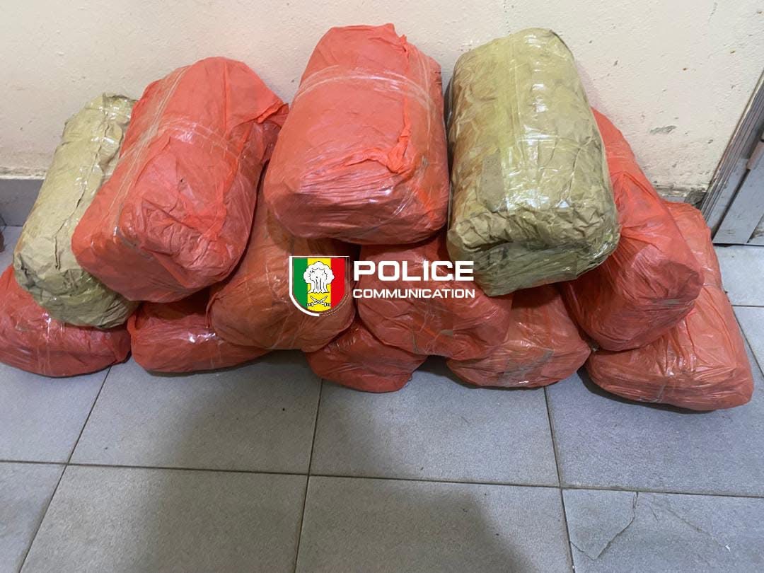 Sirmang : 24 blocs de chanvre indien interceptés par l'OCRTIS