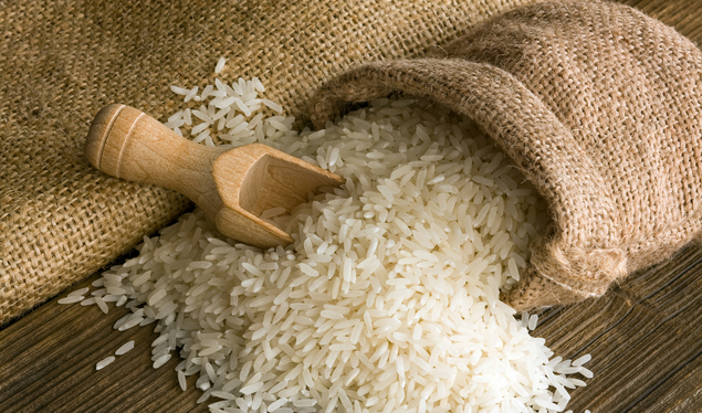 Saint-Louis va abriter un centre de formation dédié au riz