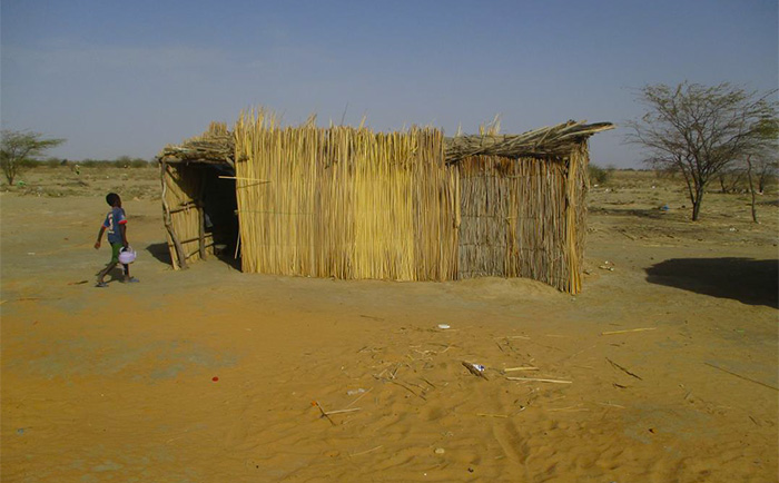( Images) L’incroyable délabrement de l'école élémentaire de Ndiawdoune Pont.
