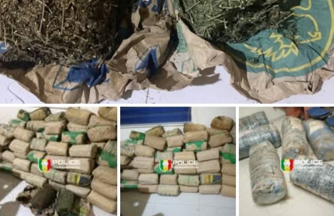 Mbour : 120 kg de chanvre indien saisis sur la plage de Tripano