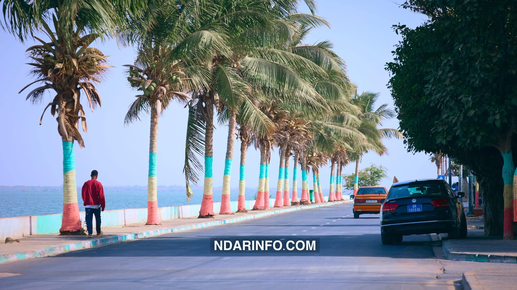 5 306 plants et 64 km de verdure : Le plan de la mairie pour rafraîchir Saint-Louis