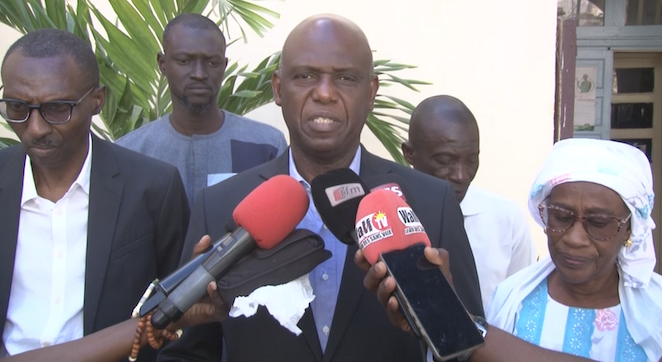 Offensive Ville Verte : Saint-Louis et Rastatt investissent 300 millions pour 5 300 arbres