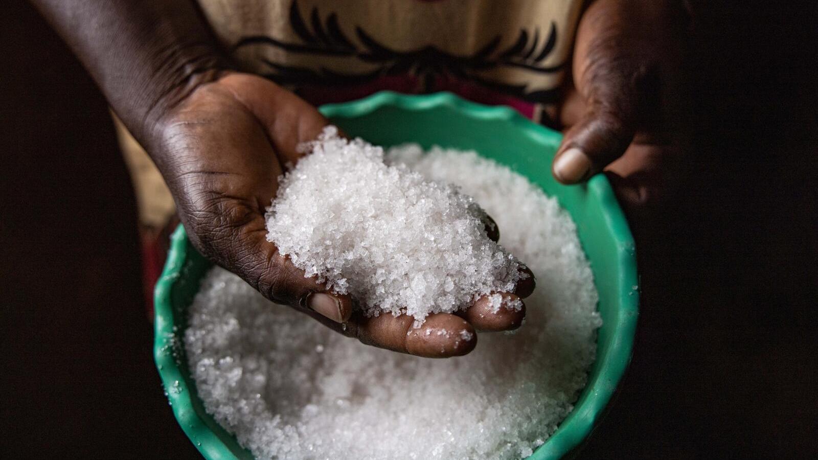 Filière sel : Ousmane Sonko présente le plan stratégique pour le Pôle-Territoire Centre