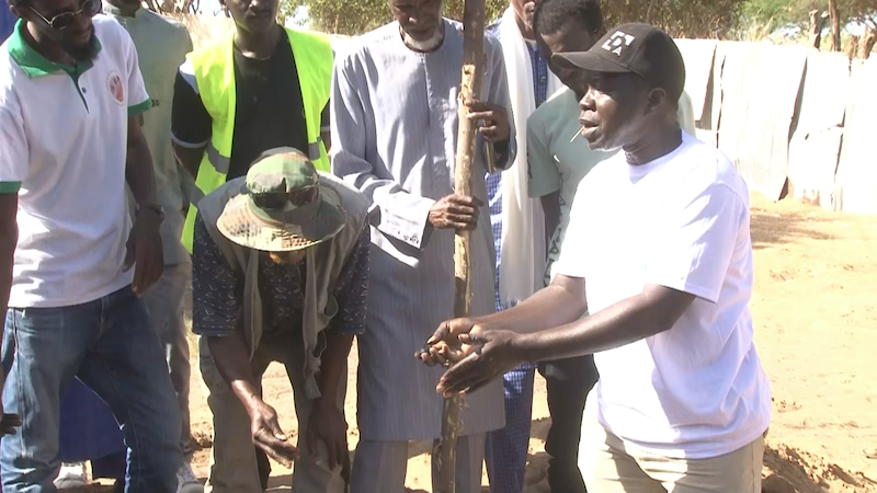 Saint-Louis : MicroSoleil forme 35 producteurs de Guelack à la technique du biochar