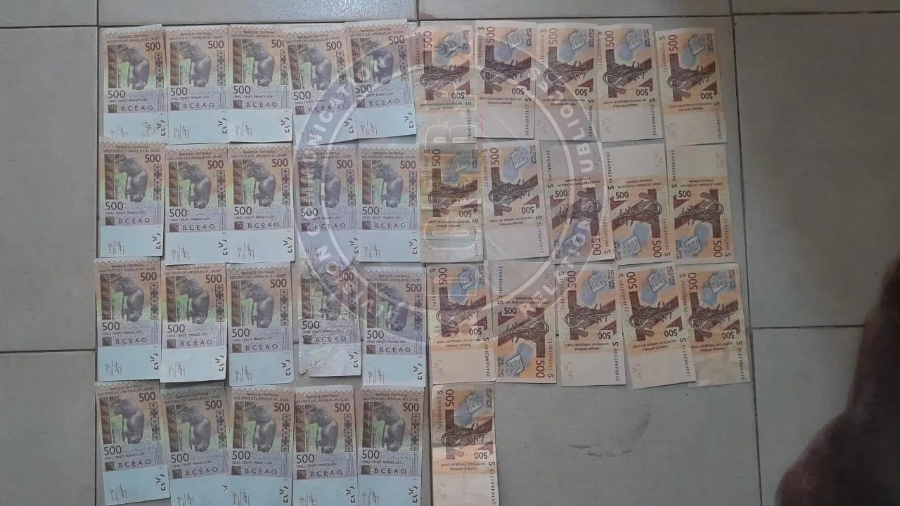 10 tonnes d'arachides et 500 000 F de faux billets : Le bilan de l'opération de Salikégné