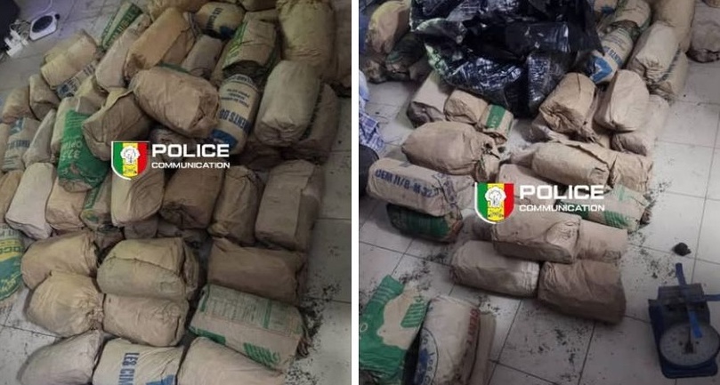 Lutte contre le trafic de drogue : La BRS saisit 118 kg de chanvre indien à Dakar