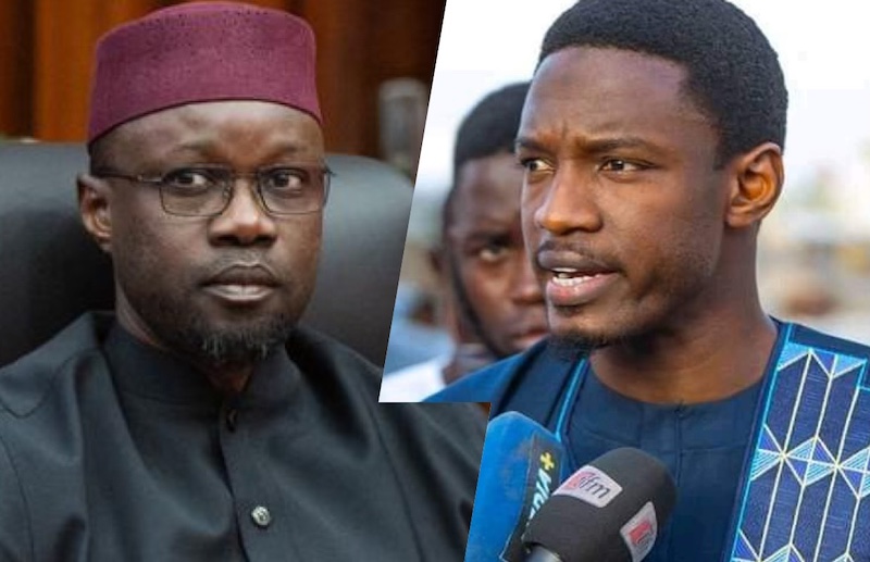 Sonko à l'Assemblée nationale : Pape Djibril Fall appelle au dépôt d'une motion de censure