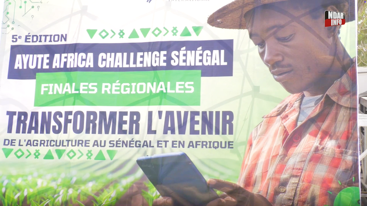 Saint-Louis : finale régionale de l'AYuTe Africa Challenge avec plus de 300 candidatures