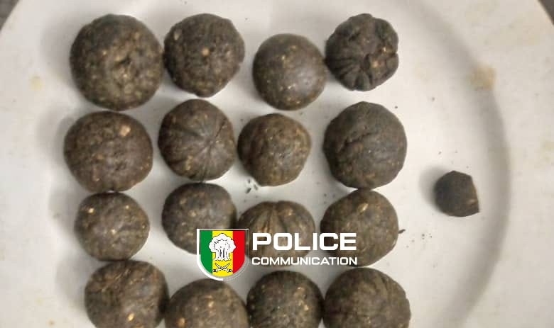 Ziguinchor : Saisie record de haschich et de chanvre indien par la BRS