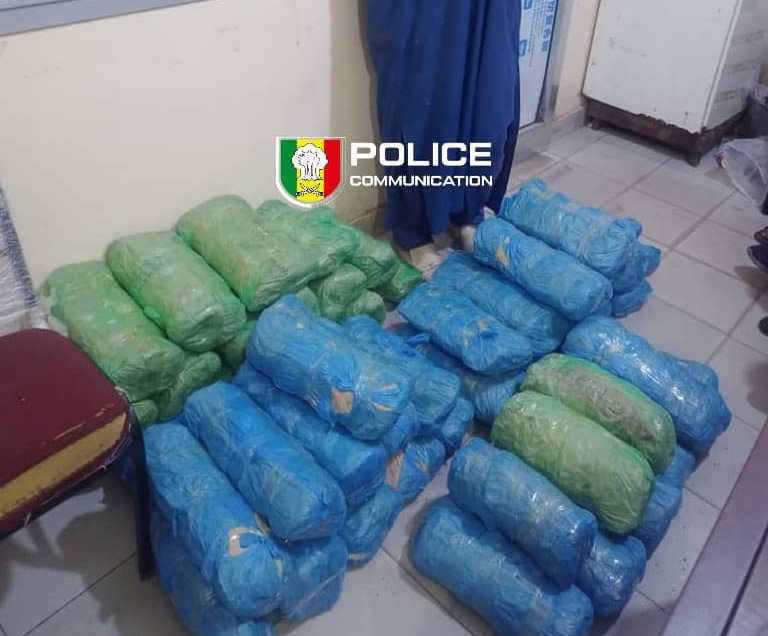 Saisie de drogue à Karang : 49 kg de chanvre indien interceptés par l'OCRTIS