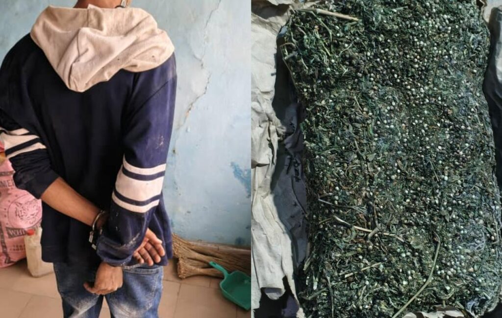 Saisie de 3 kg de drogue à Sédhiou, un étudiant de l'UGB sous les verrous