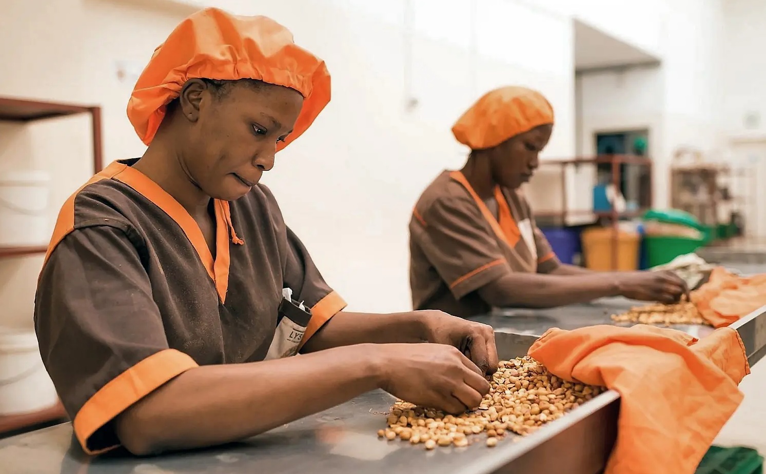 Sénégal : 30 nouvelles zones d’incubation pour booster les PME d'ici 5 ans