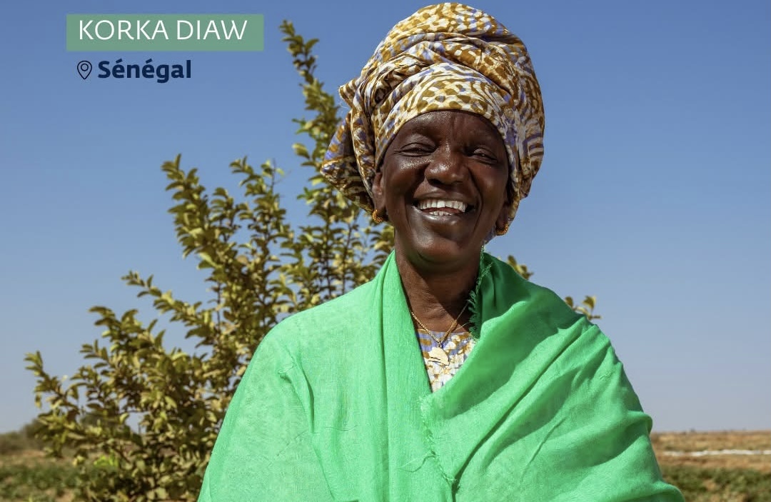 Portrait : Korka Diaw, la lionne du riz local dans la vallée du fleuve Sénégal