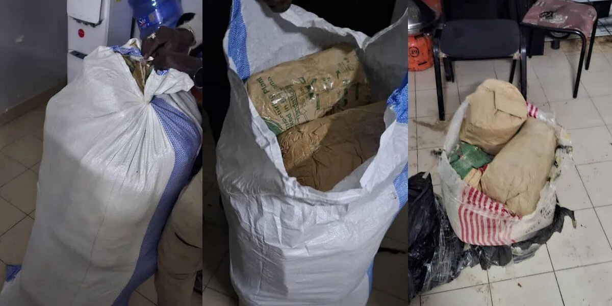 Ziguinchor : La Sûreté Urbaine saisit 6 kg de chanvre indien au quartier Kénia