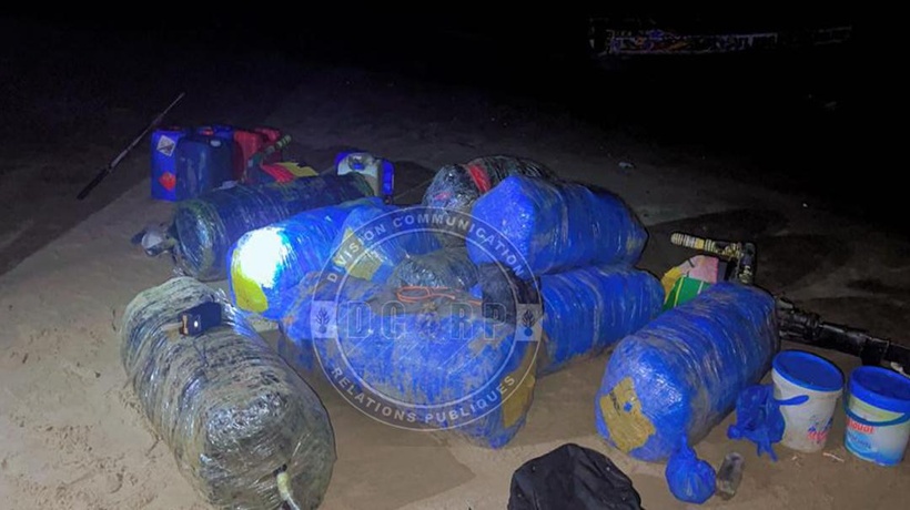 Joal : Saisie record de 510 kg de chanvre indien par la Gendarmerie de Mbour