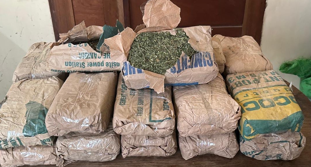 Saly : 23 kg de chanvre indien saisis lors d'un contrôle de routine