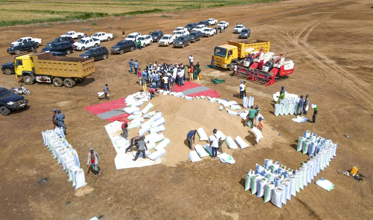 Filière Riz : Des mesures fortes annoncées pour stopper les importations massives