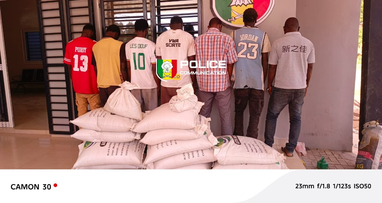 Bignona : Huit arrestations après le vol de 39 sacs de poivre à 5 millions de FCFA